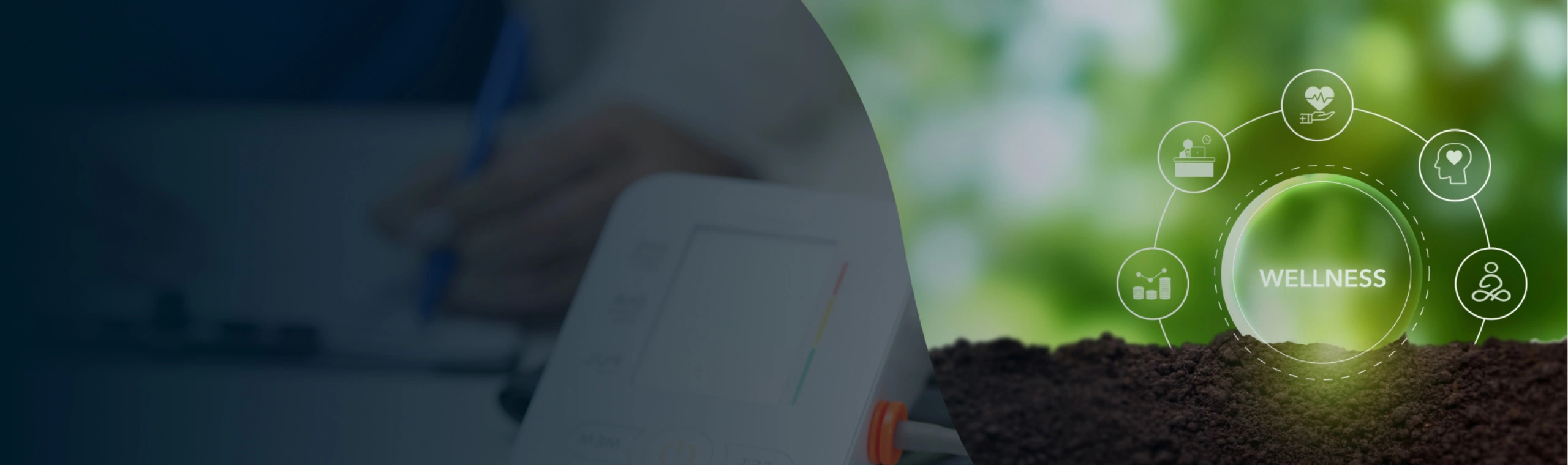 Wellness & Screening