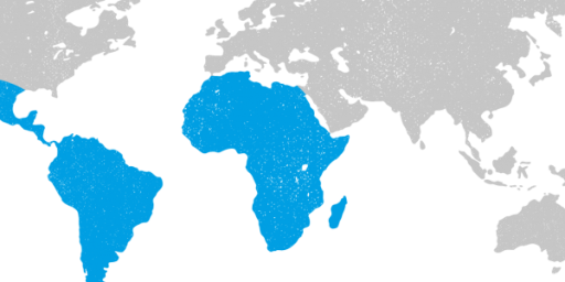 Yellow Fever: Risks, Transmission, and Prevention