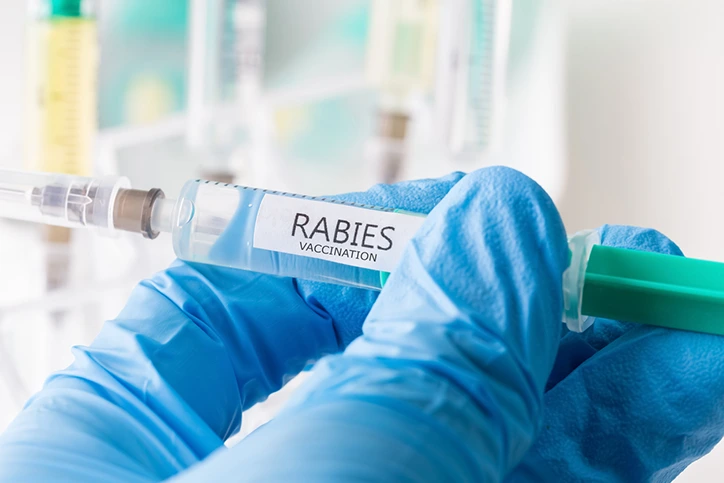 Rabies – Know your risks and treat exposures as potentially infectious